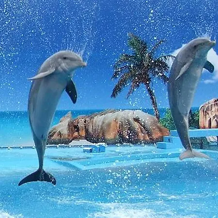 Charming In - 60 M² With Pool & View Lejlighed *