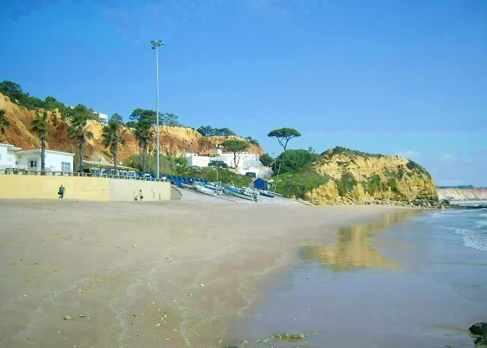 Charming Apartment: Pool View Retreat Apartment *