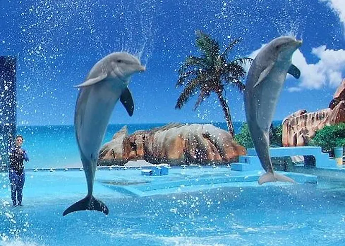 Charming Apartment: Pool View Retreat Apartment *